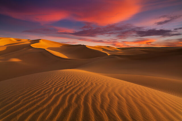 Desert with sunset in background